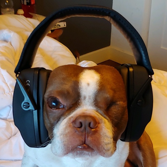 Meet your Posher, Malia - Picture 3 of 8